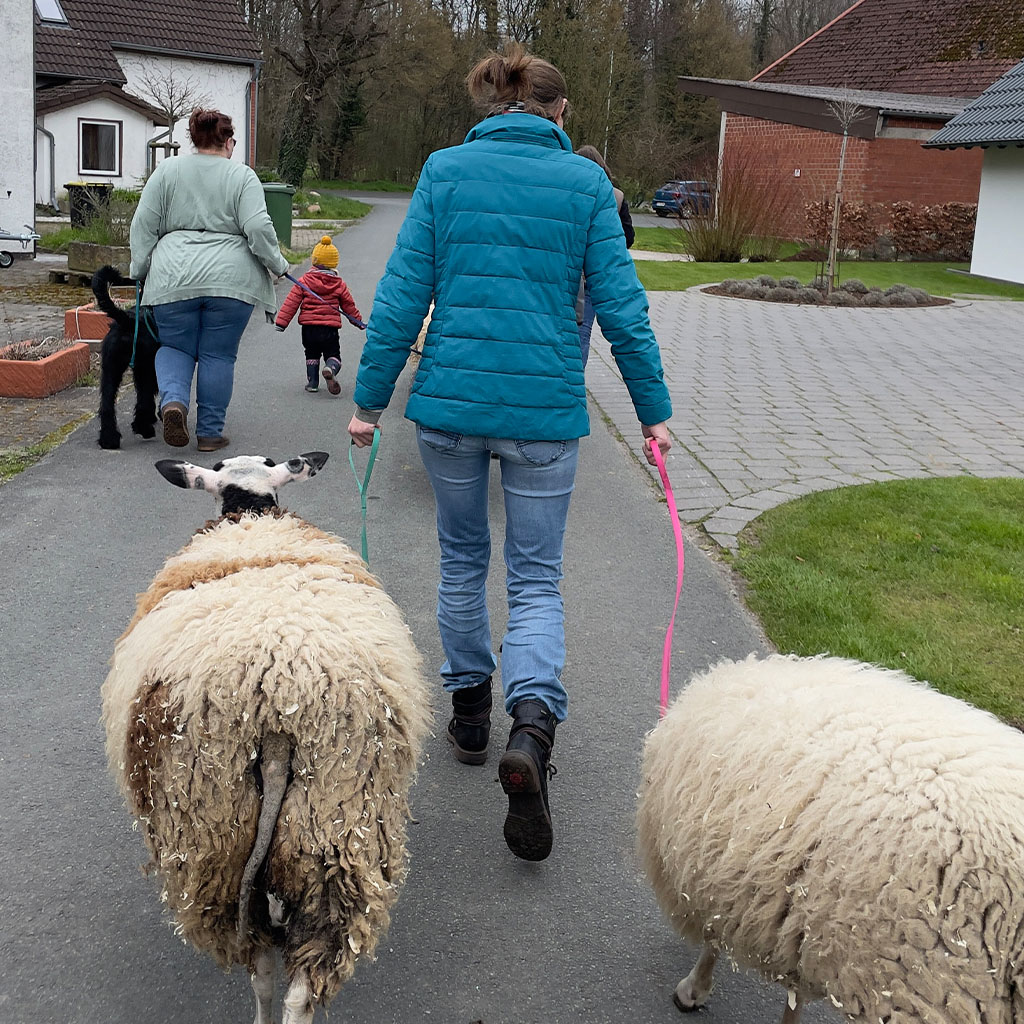 Image hover effect image