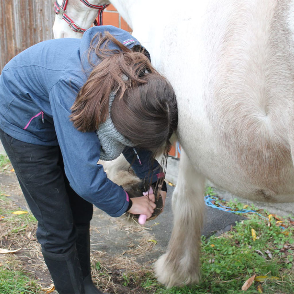 Image hover effect image